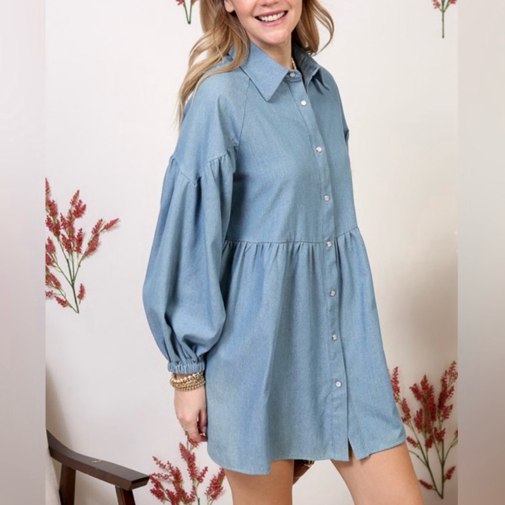 Lumiere size Small Blue Snap Button-Up Dress